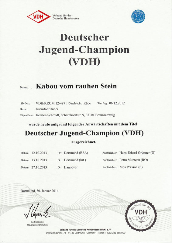 Kabous Champion-Urkunde vom 30.01.2014: Deutscher Jugend-Champion (VDH)