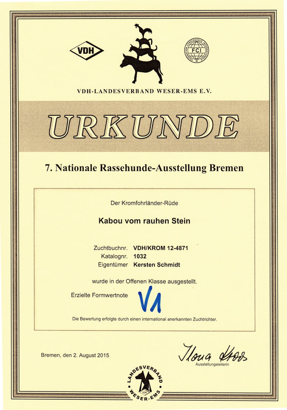 Kabous V1-Urkunde vom 02.08.2015