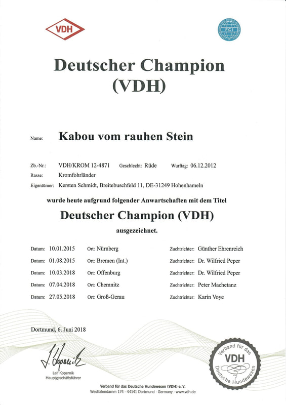Kabous Champion-Urkunde vom 06.06.2018: Deutscher Champion (VDH)