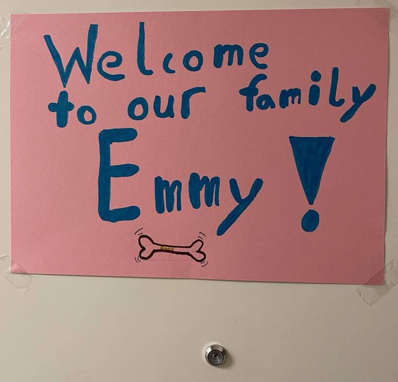 Türschild: Welcome to our family Emmy!