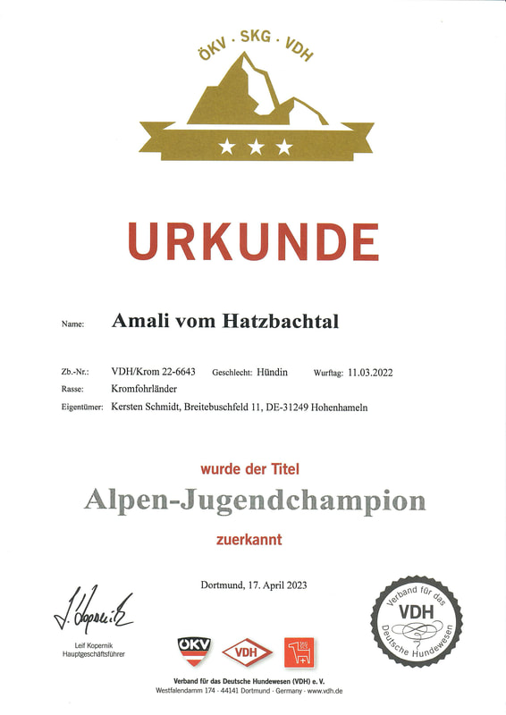 Amalis Champion-Urkunde „Alpen-Jugendchampion“ vom 17.04.2023