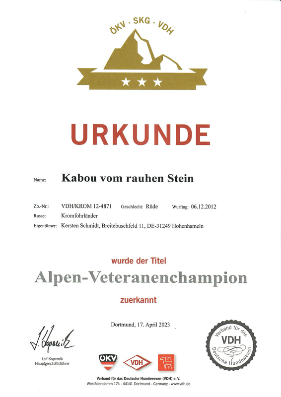 Kabous Champion-Urkunde vom 17.04.2023: Alpen-Veteranenchampion