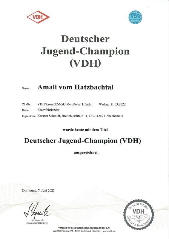 Amalis Champion-Urkunde Deutscher Jugend-Champion (VDH) vom 07.06.2023