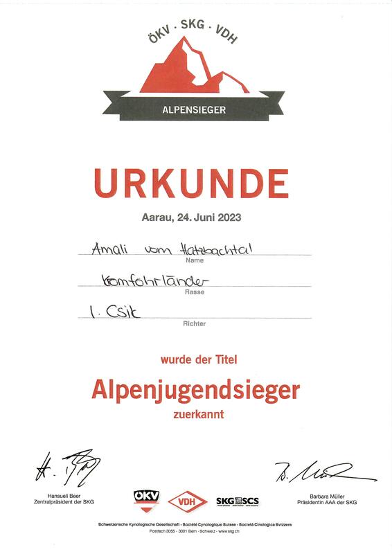 Amalis Alpenjugendsieger-Urkunde vom 24.06.2023