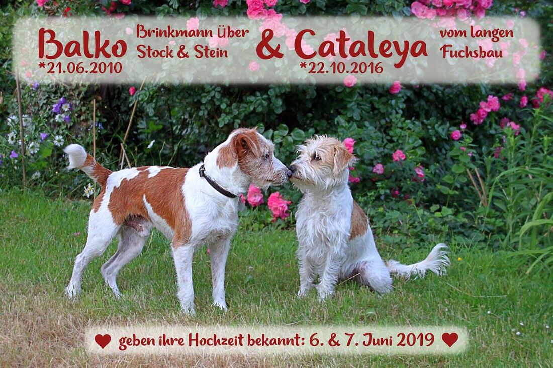 Foto von Balko & Cataleya am 7. Juni 2019