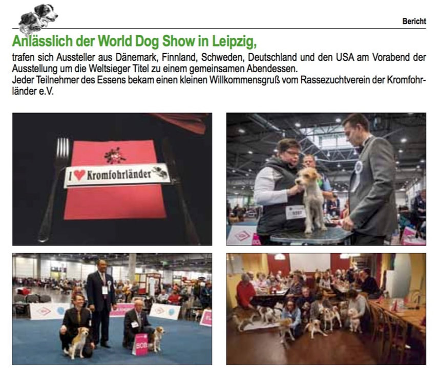 Fotos von der World Dog Show 2017 in Leipzig
