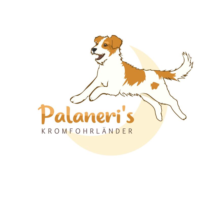 Logo von Palaneri’s Kromfohrländer